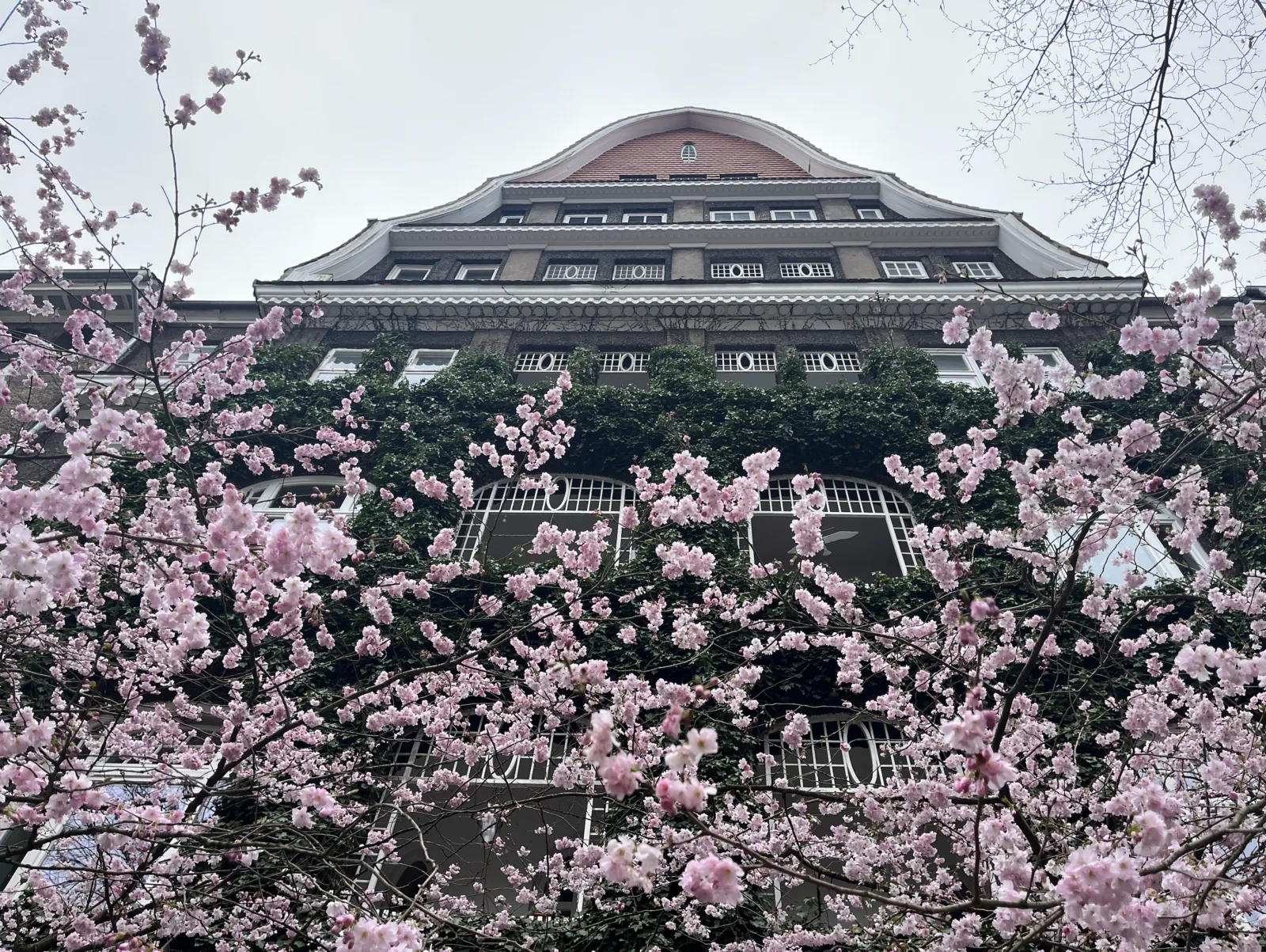 The Goalscape HQ building on Esmarchstrasse in Kiel, photographed through cherry blossoms in bloom